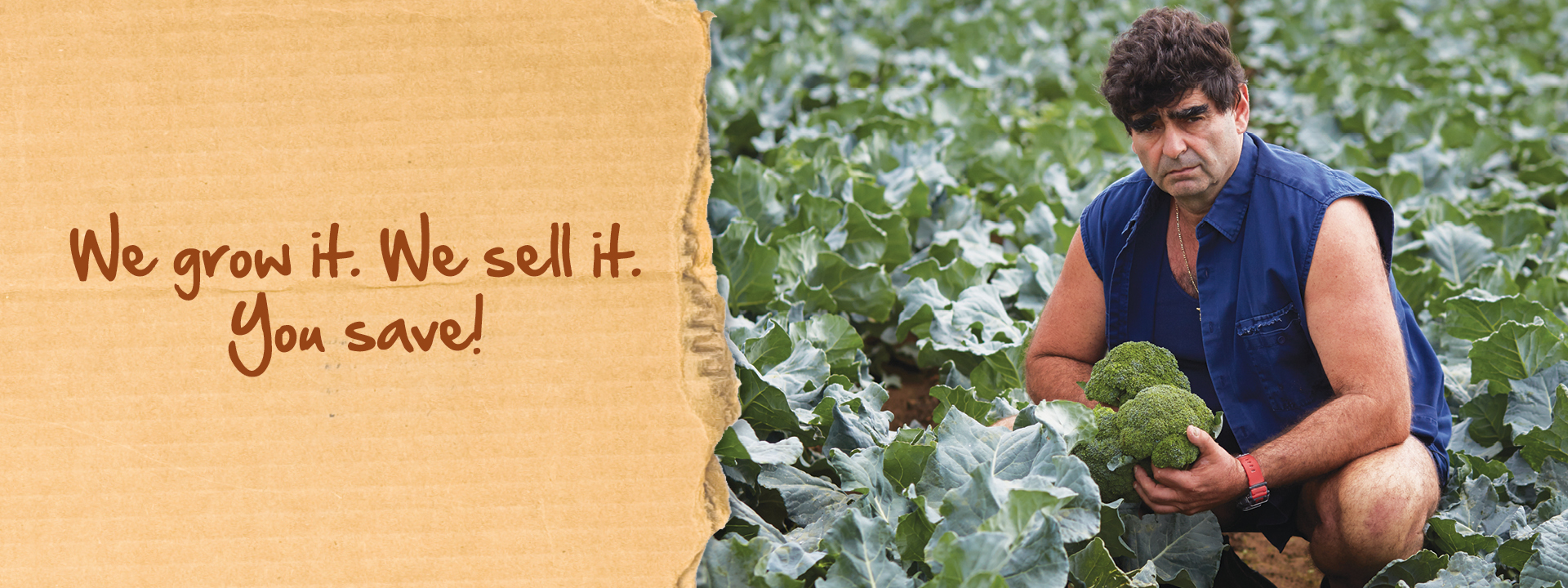 Homepage About Us Banner